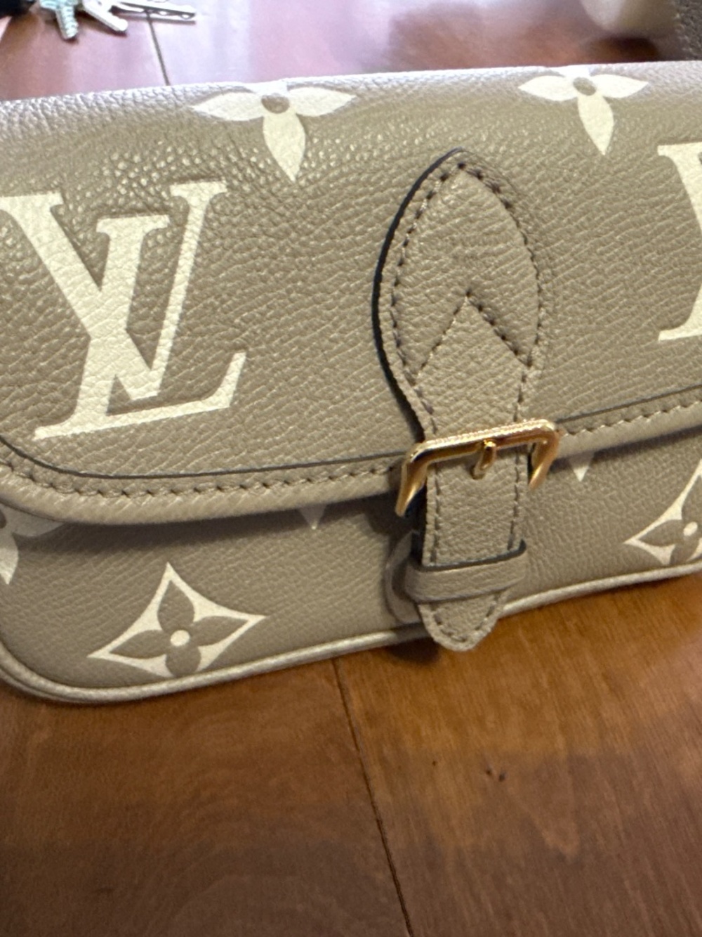 Louis Vuitton purse